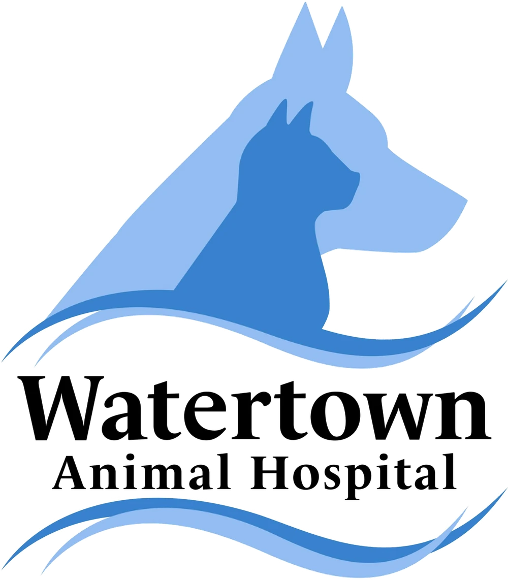 Watertown Animal Hospital